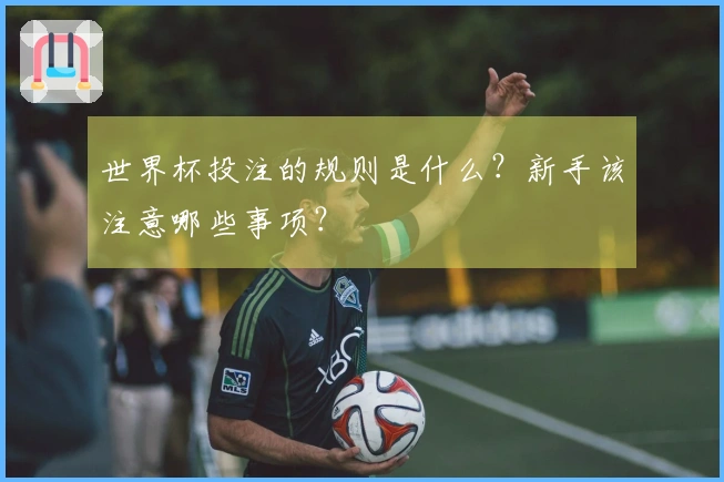 世界杯投注的规则是什么？新手该注意哪些事项？
