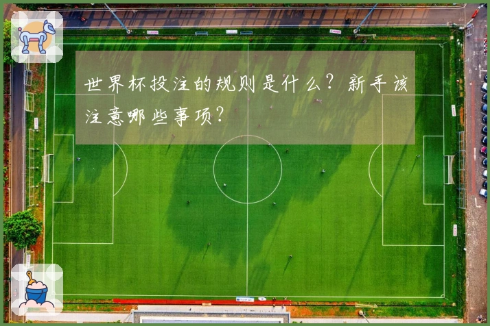 世界杯投注的规则是什么？新手该注意哪些事项？