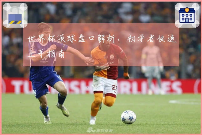 世界杯滚球盘口解析，初学者快速上手指南