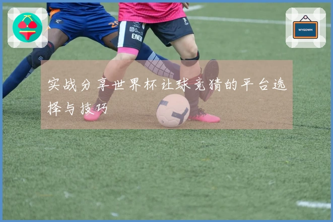 实战分享世界杯让球竞猜的平台选择与技巧